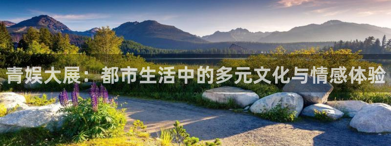辉达娱乐是啥：青娱大展：都市生活中的多元文化与情感体验