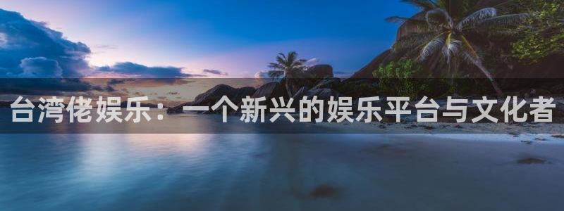 东莞市辉达娱乐电子科技有限公司：台湾佬娱乐：一个新兴的娱乐平台与文化者