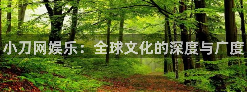 辉达娱乐游戏官网平台：小刀网娱乐：全球文化的深度与广度