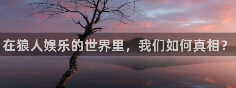 辉达娱乐网页版：在狼人娱乐的世界里，我们如何真相？